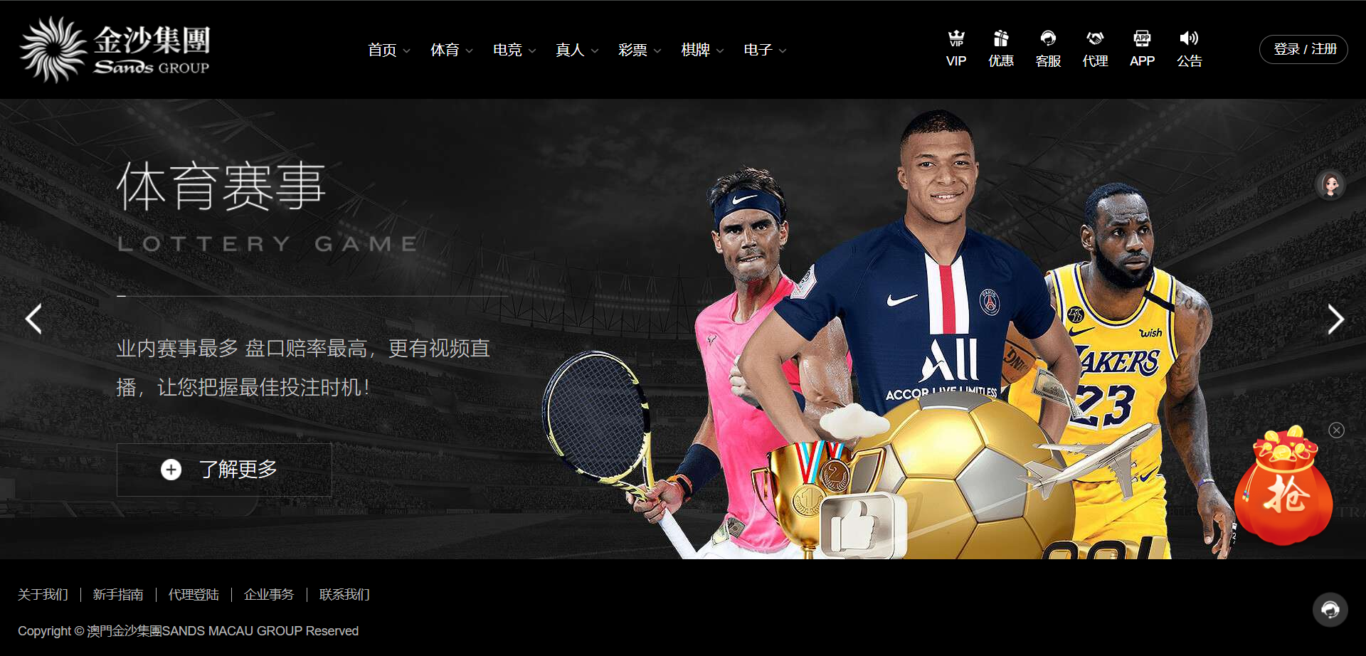 黑色金沙(包网模板）