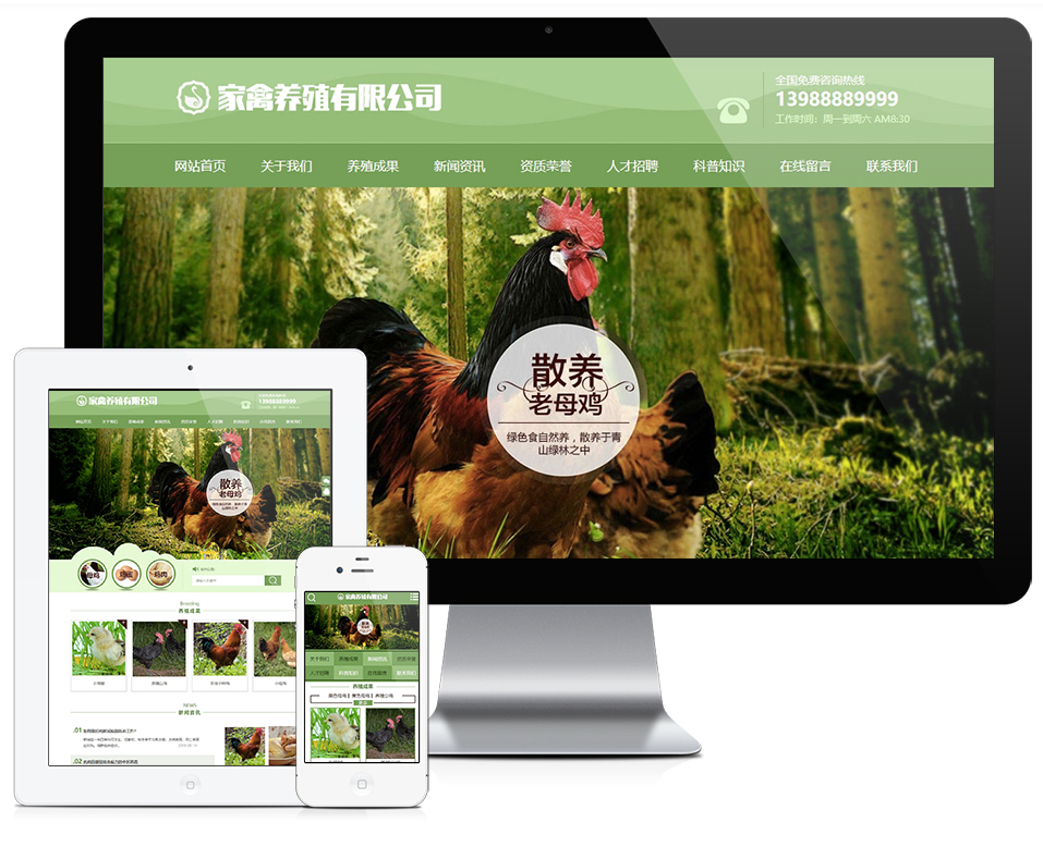 家禽母鸡养殖类网站模板